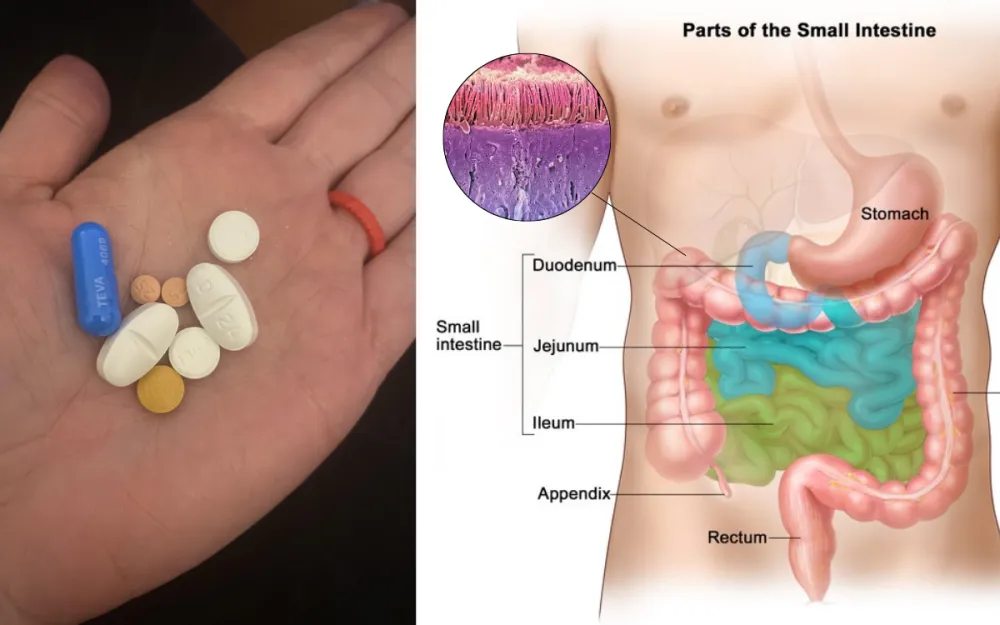 Advertorial Images (9)